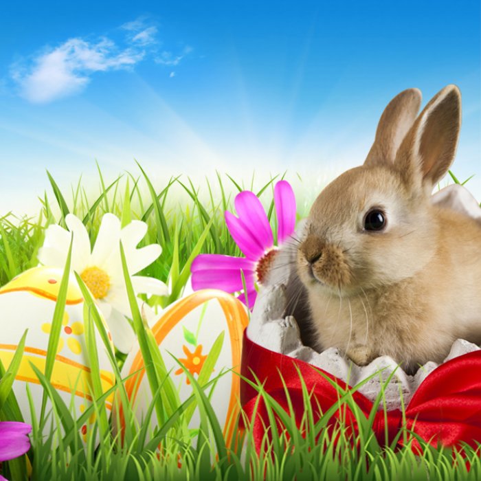 Mega Easter Raffle